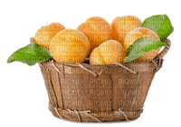 fruit apricots bp - ücretsiz png