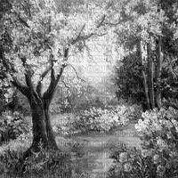 Y.A.M._Landscape background black-white - 免费PNG