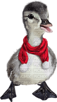 christmas bird by nataliplus - png gratuito