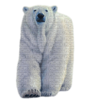 ice polar bear - png grátis