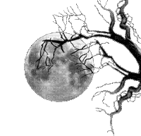 lune - Бесплатный анимированный гифка