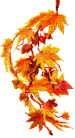 autumn branch by nataliplus - Kostenlose animierte GIFs