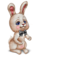 kanin-bunny