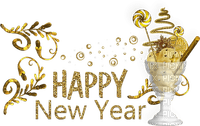 happy new year - nemokama png