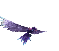 dragon drache bird oiseau vogel animal dark  fantasy anime  gif animated animation tube