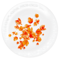 flower deco - Free PNG