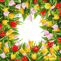 loly33 frame tulipe - zdarma png