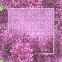 BG-Purple-lilac-flowers - Free PNG