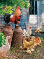 The hen house - nemokama png