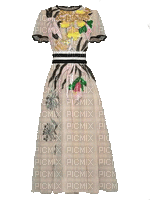 Lovely dress - Gratis animerad GIF