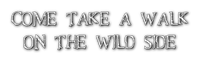 Take a walk on the wild side 🏵asuna.yuuki🏵 - ücretsiz png