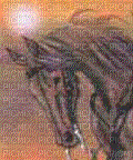 Cheval - Darmowy animowany GIF