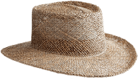 straw farm hat - PNG gratuit