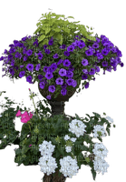 kwiaty - nemokama png