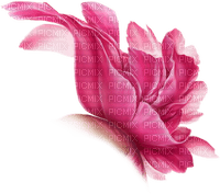 blomma-rosa - zdarma png
