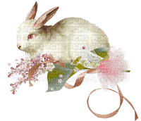 заяц, цветы, яйца, Карина - Free PNG