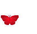 gif mariposa - Nemokamas animacinis gif
