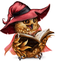 kikkapink owl fantasy - nemokama png