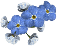 Kwiaty niebieskie - gratis png
