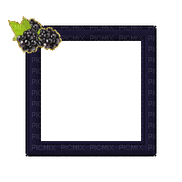 Small Purple Frame - Ilmainen animoitu GIF