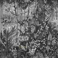 Y.A.M._Fantasy jungle background black-white - GIF animé gratuit