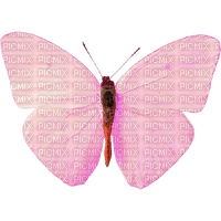 pink butterfly - ingyenes png