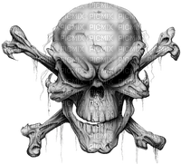 pirate skeleton bp - darmowe png
