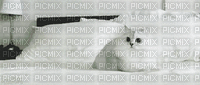 Chat Blanc - Ilmainen animoitu GIF