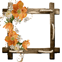 fall autumn leaf leaves feuille frame - Zdarma animovaný GIF