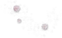 minou-pink-flower-blommor - png grátis