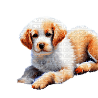 kikkapink cute animal dog puppy puppet - gratis png