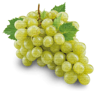 white grapes 5 - darmowe png