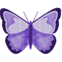 joli papillon violet - 免费动画 GIF