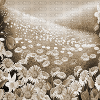 Y.A.M._Spring background sepia - бесплатно png