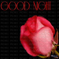 good night rose gif