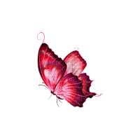 kikkapink deco scrap pink butterfly purple - Free PNG