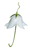 Flower Umbrella - бесплатно png
