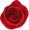 rosa rossa - 無料png