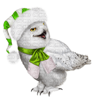 christmas owl  by nataliplus - 無料png