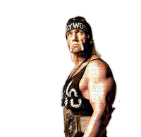 Hulk Hogan - png grátis