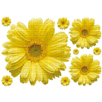 flores amarelas-l - zadarmo png