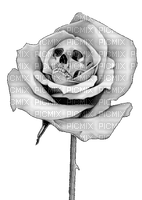 Fleur.Rose.Skull.crâne.Flower.Victoriabea - png gratis
