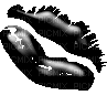 emo - Δωρεάν κινούμενο GIF