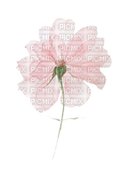 vintage flower 2 - PNG gratuit