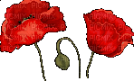 Цветок - 免费动画 GIF