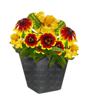 Kaz_Creations Deco Flowers Flower Colours vase Plant - безплатен png