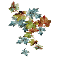 hojas otoño transparentes dubravka4 - PNG gratuit