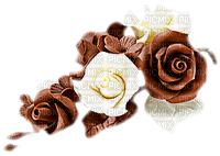 soave deco chocolate flowers rose brown white - kostenlos png