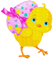 Easter Chick by nataliplus - GIF animé gratuit