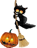 chat noir halloween black cat  broom pumpkin